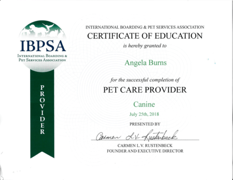 IBPSA Certificate to Angela Burns